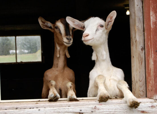 "They Lookin' At Us?"