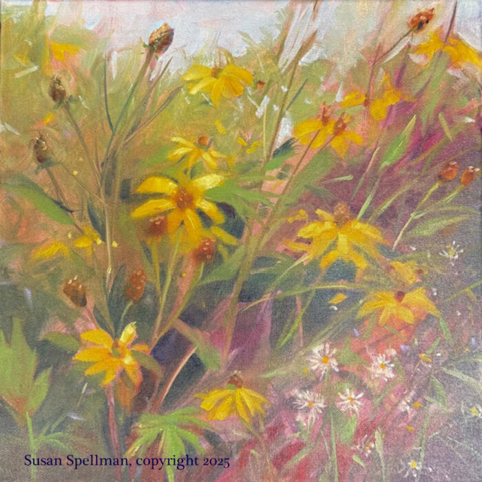 Close up view of wild yellow flowers